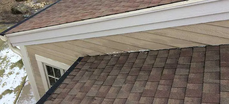 Siding in need of repair