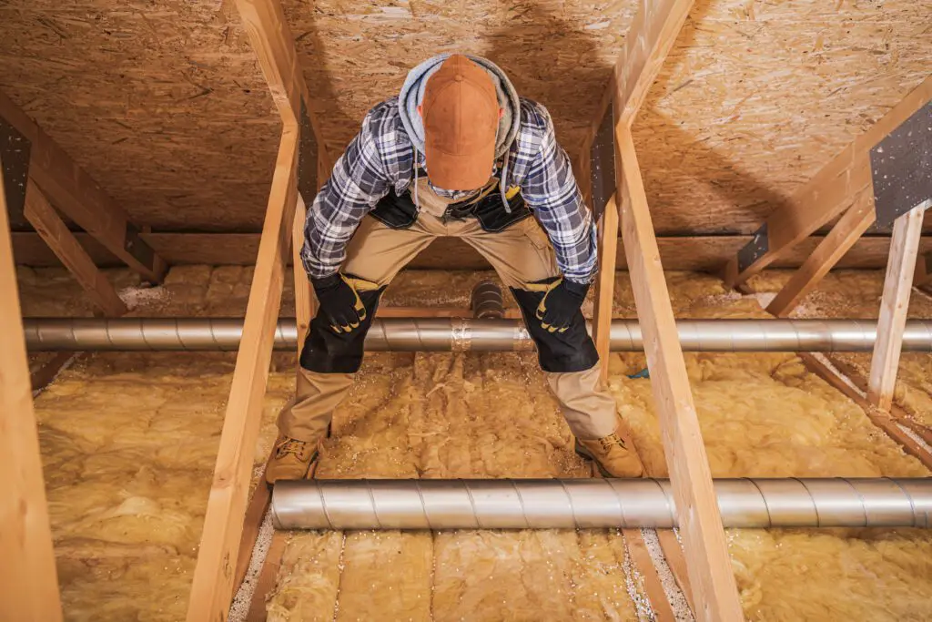 attic assessment