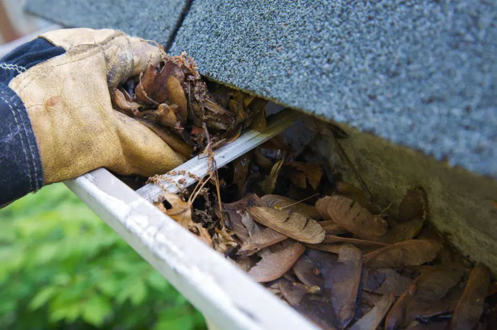 clearing debris from gutter