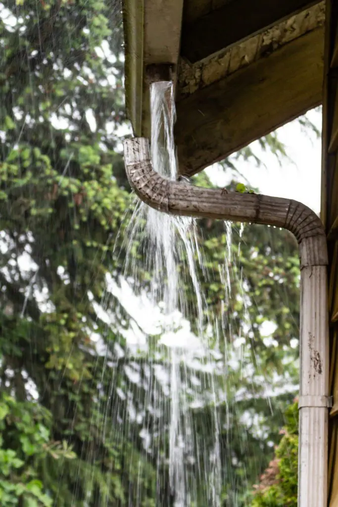 inspecting downspouts and extensions