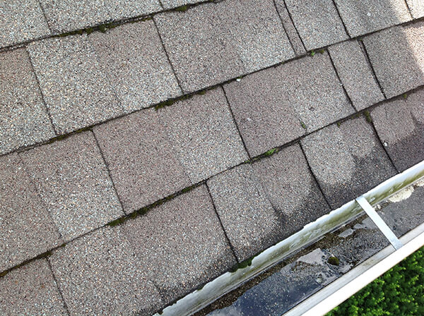 Old Damaged Shingles